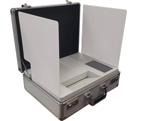 Portable voting machine